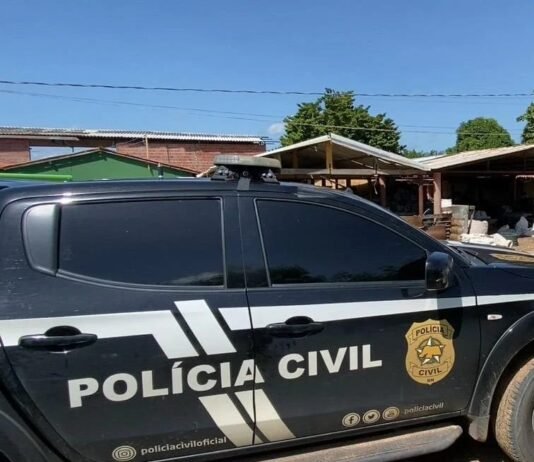 Polícia Civil prende homem por furto ocorrido em Serra Caiada vtr