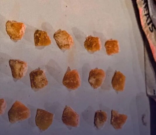 3º BPM prende homem por tráfico de drogas em Nísia Floresta/RN