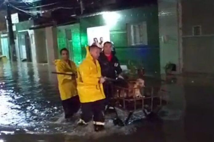 Texto-do-seu-paragrafo-81-1