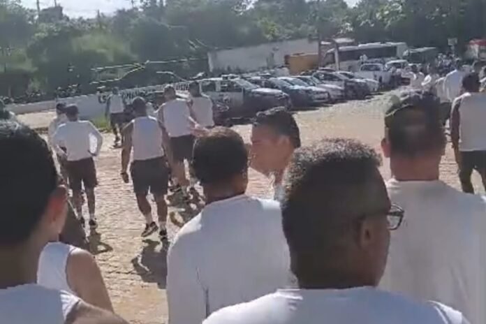 Design-sem-nome-2025-05-13T105906.472