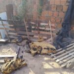 Homem é preso por suspeita de incendiar casa de idoso no interior do RN