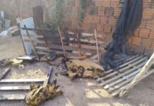 Homem é preso por suspeita de incendiar casa de idoso no interior do RN