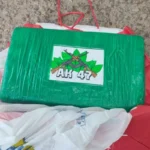 Mulher é presa com cocaína em transporte alternativo na BR-304