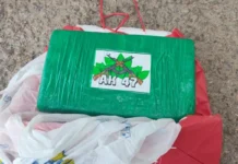 Mulher é presa com cocaína em transporte alternativo na BR-304